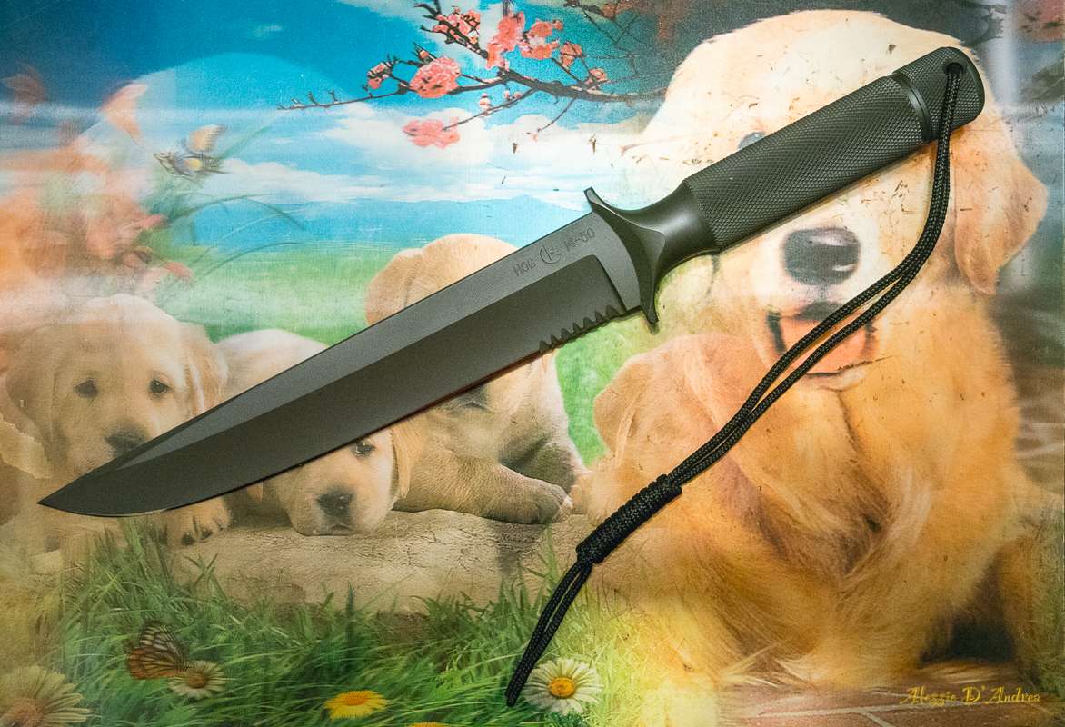z0SyVs.jpg