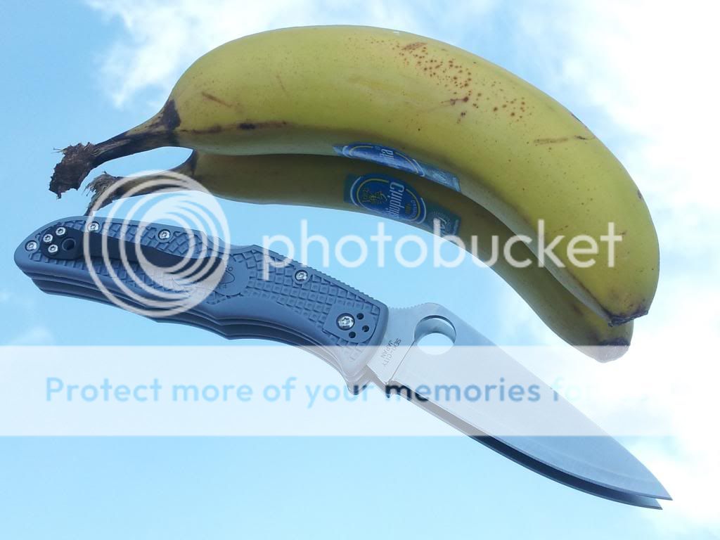 20130905_141033_zps07f824f3.jpg