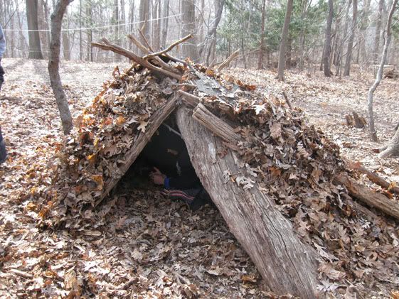 shelter.jpg