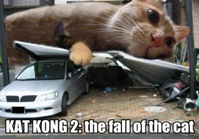 kittycong.jpg