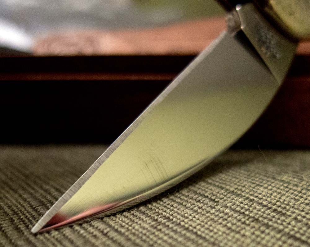 seahorse_blade.jpg~original