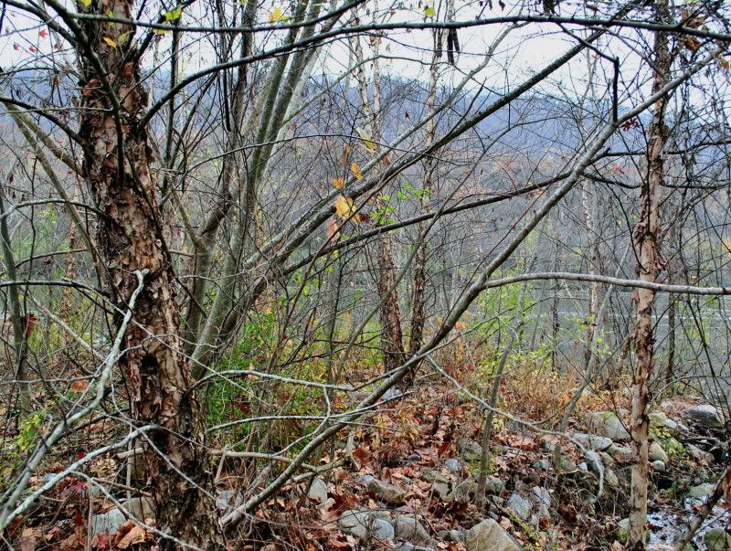 DSC_5765.jpg