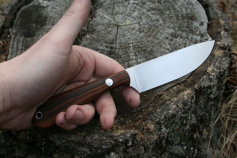 Cocobolo2.jpg