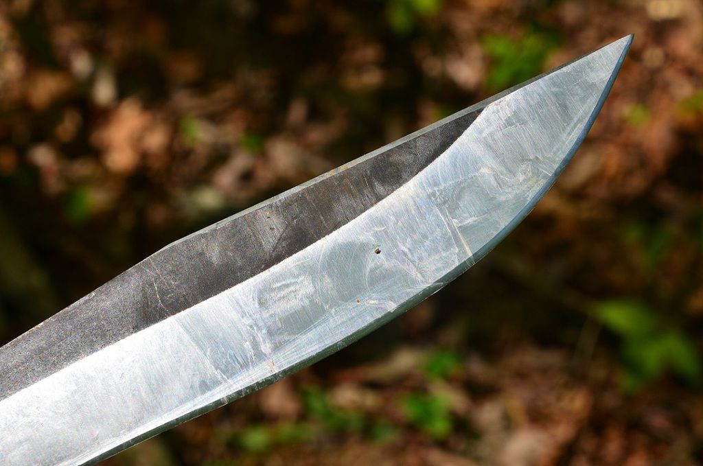 DSC_7546.jpg