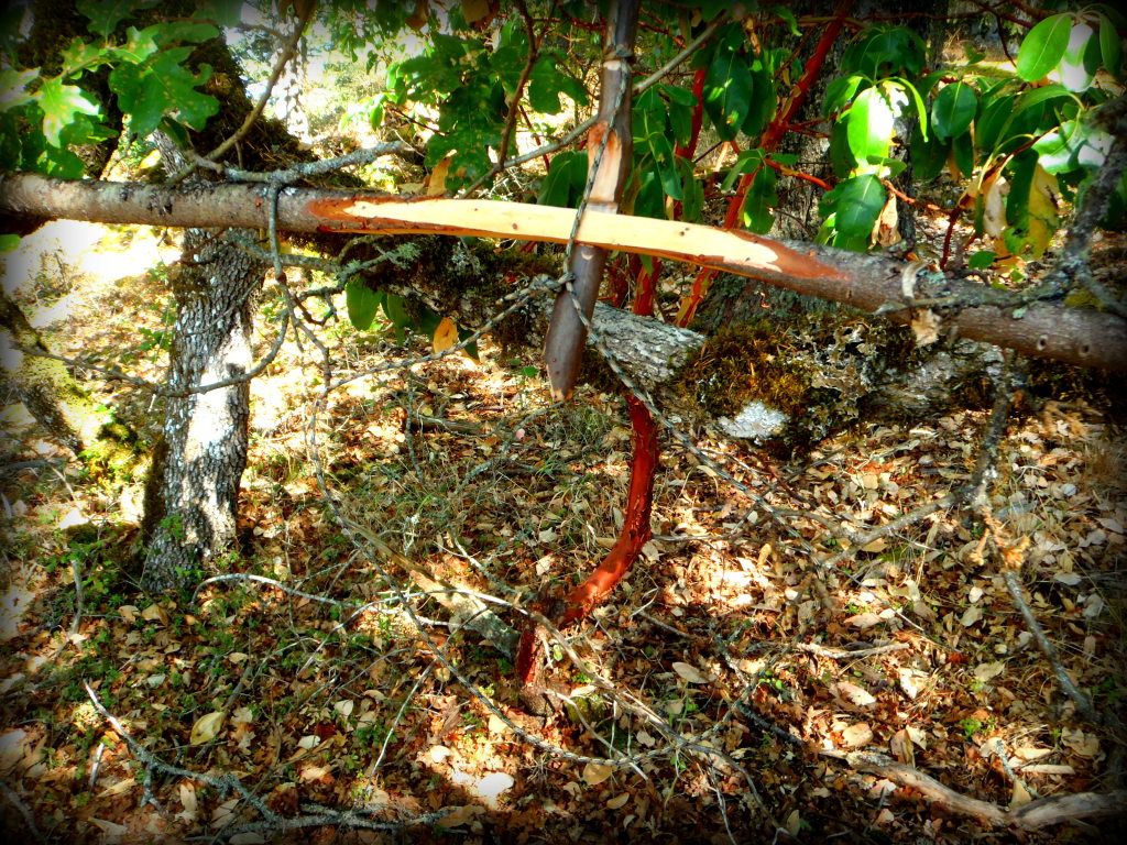 005-8.jpg