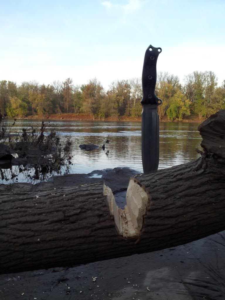 20121111_155051.jpg