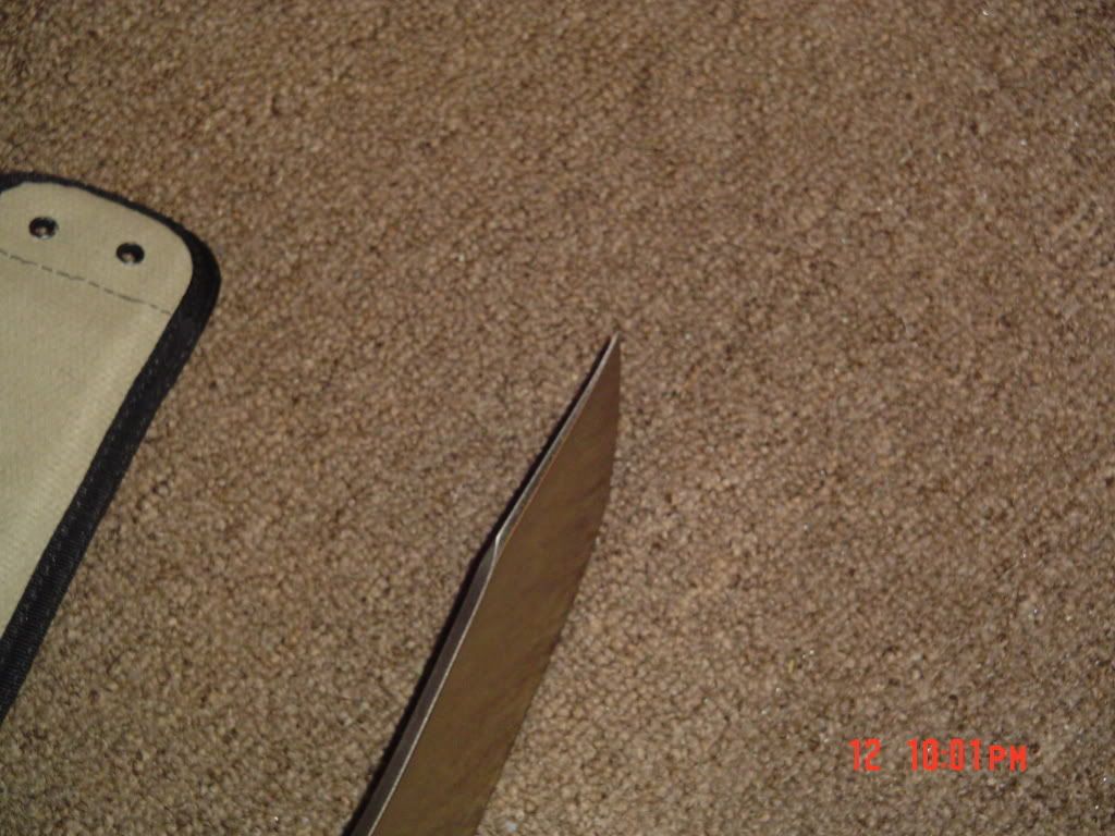 DSC03394.jpg