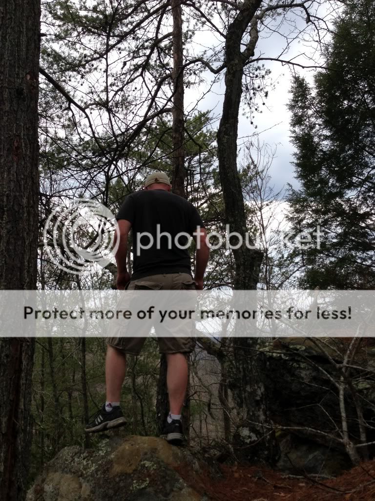 photo3_zpsa535f2ad.jpg