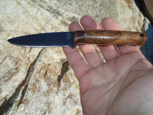 3valleybeaver022.jpg