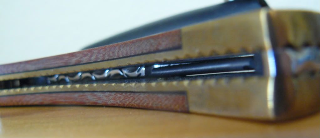 P1050255-1.jpg
