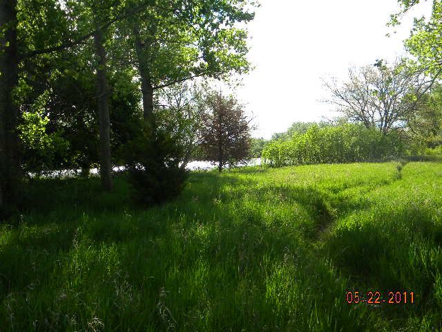 DSCN3707.jpg
