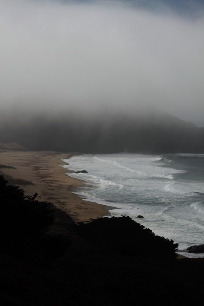 MFBigSur013.jpg
