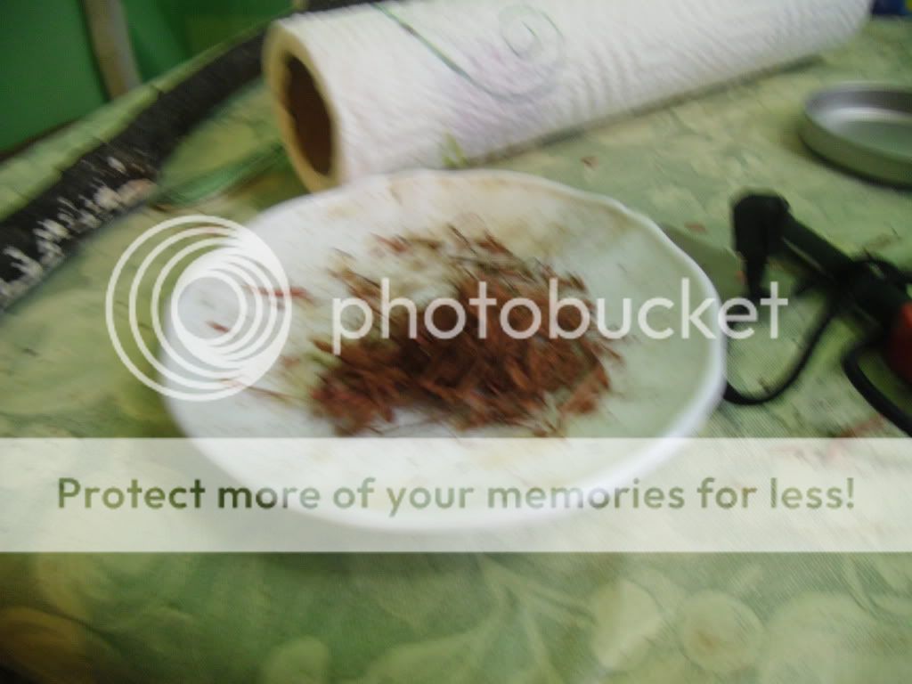 PICT0004-70.jpg