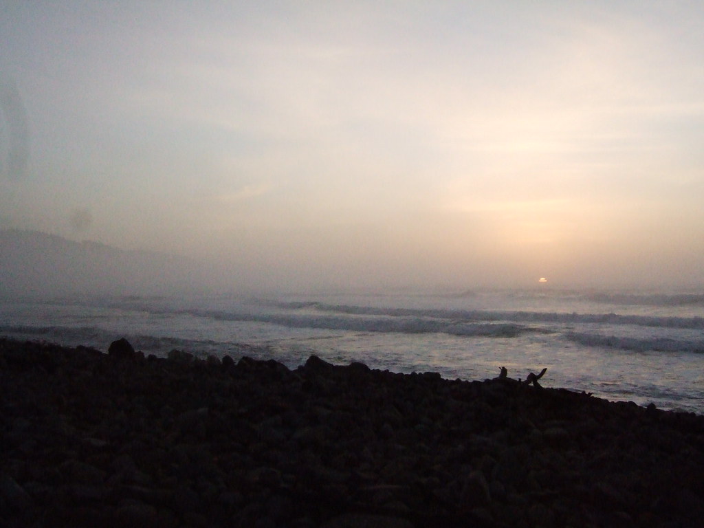 2313979060_f7d5c31feb_b.jpg