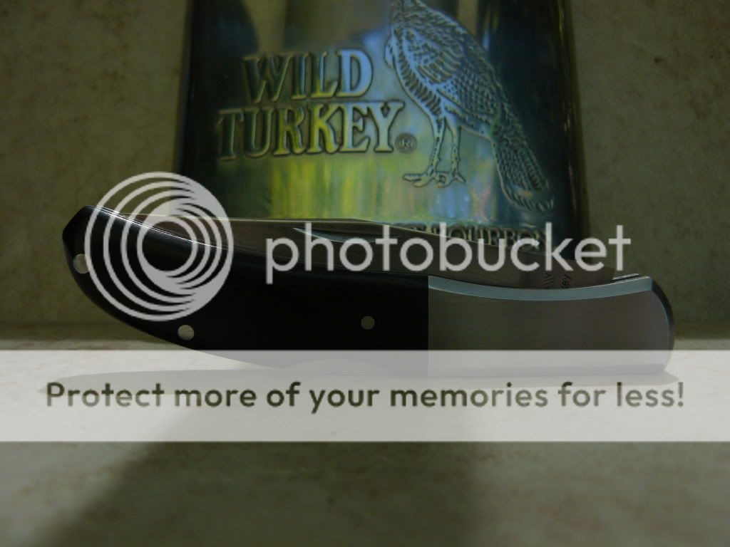 WildTurkey002.jpg