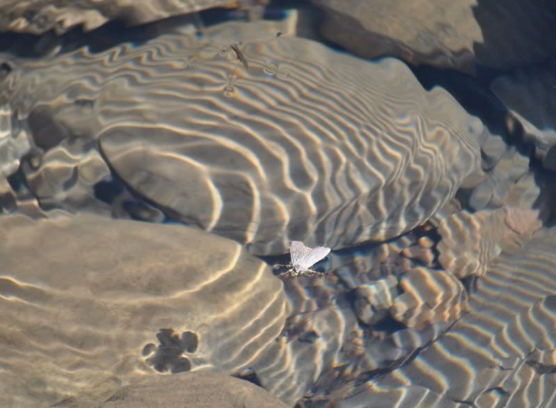 DSC_0912.jpg