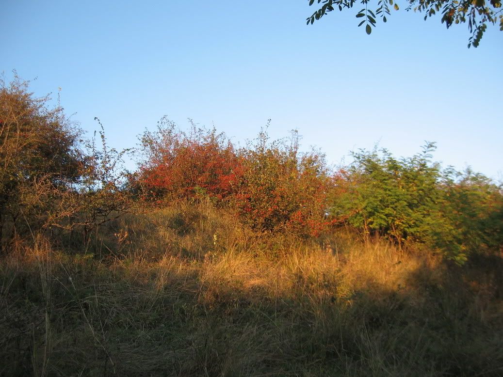 trip9september_2010.jpg