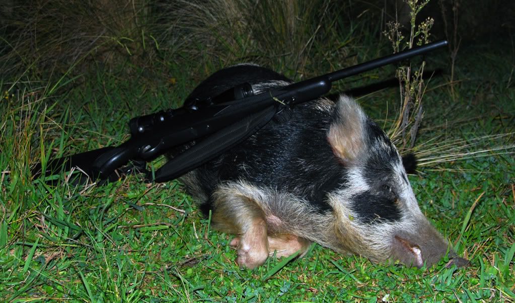 AprilHog2.jpg