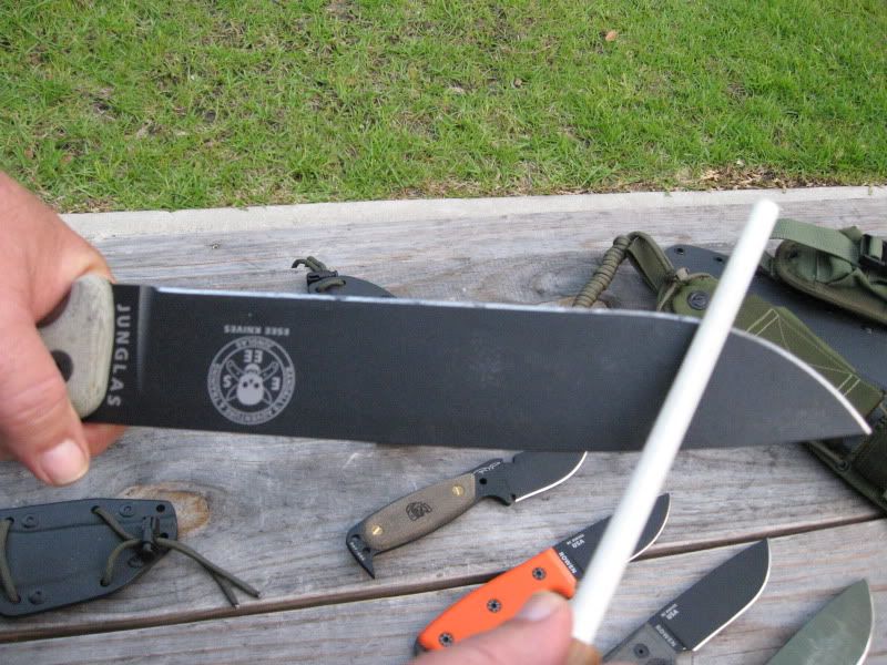 ESEESHARP007.jpg