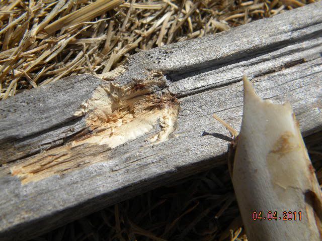 DSCN3582.jpg