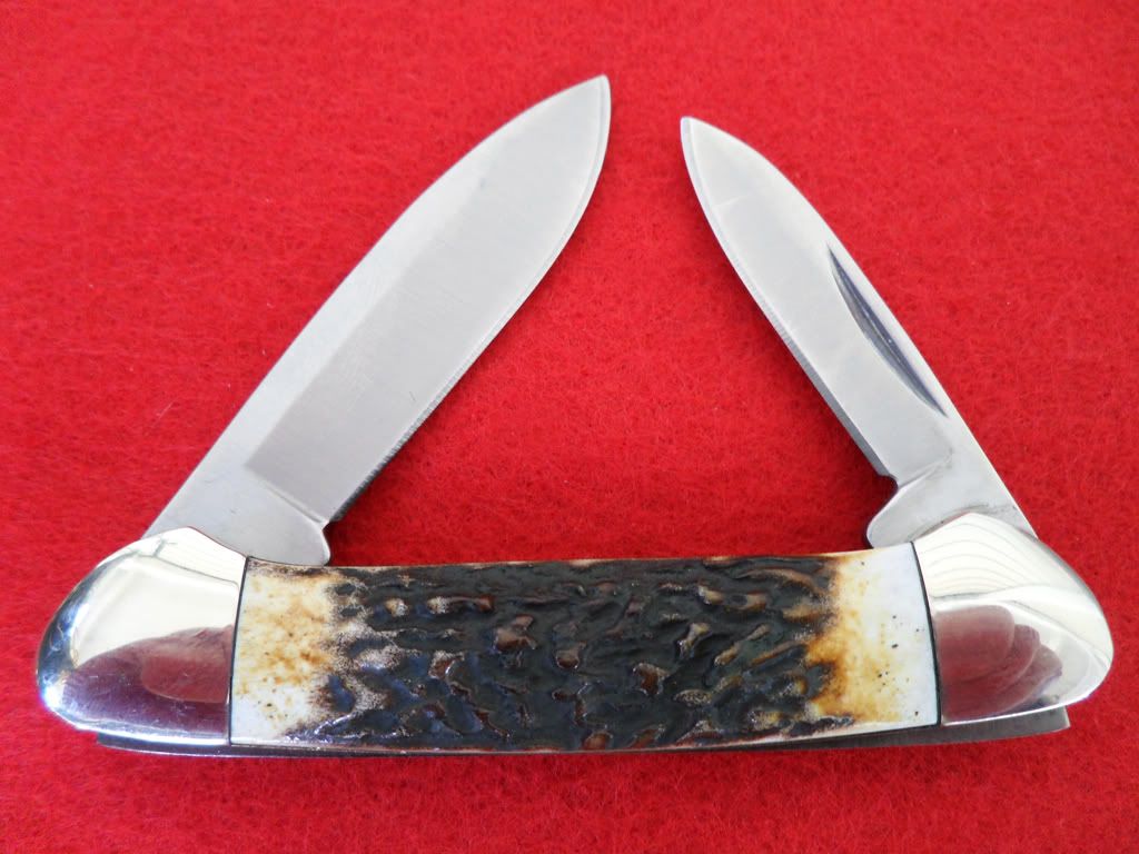 stagcanoe2.jpg