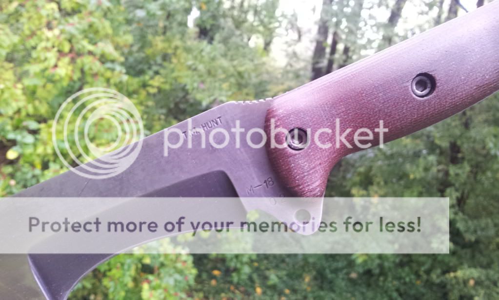 2012-09-18134747.jpg
