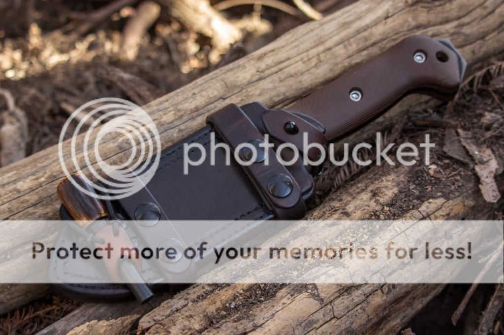 IMG_0390_zps522d38bb.jpg~original