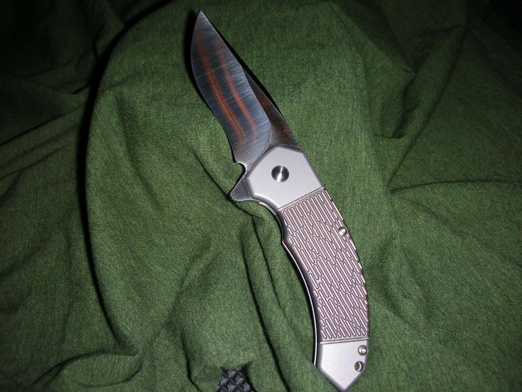 DSCN2383.jpg