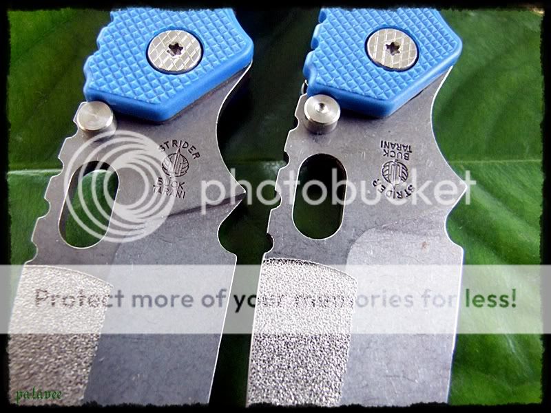 DSCF9290.jpg