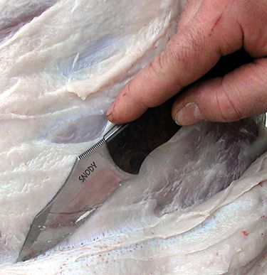 presentationskinning1_zpsb50463e0.jpg
