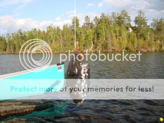 BWCA09047.jpg
