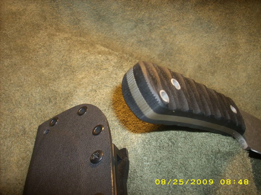 DSCI0851.jpg