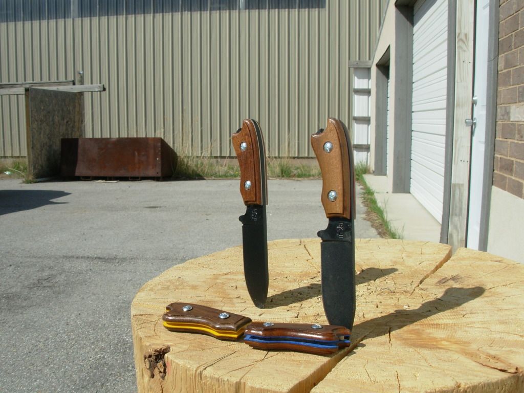 DSCN1011.jpg