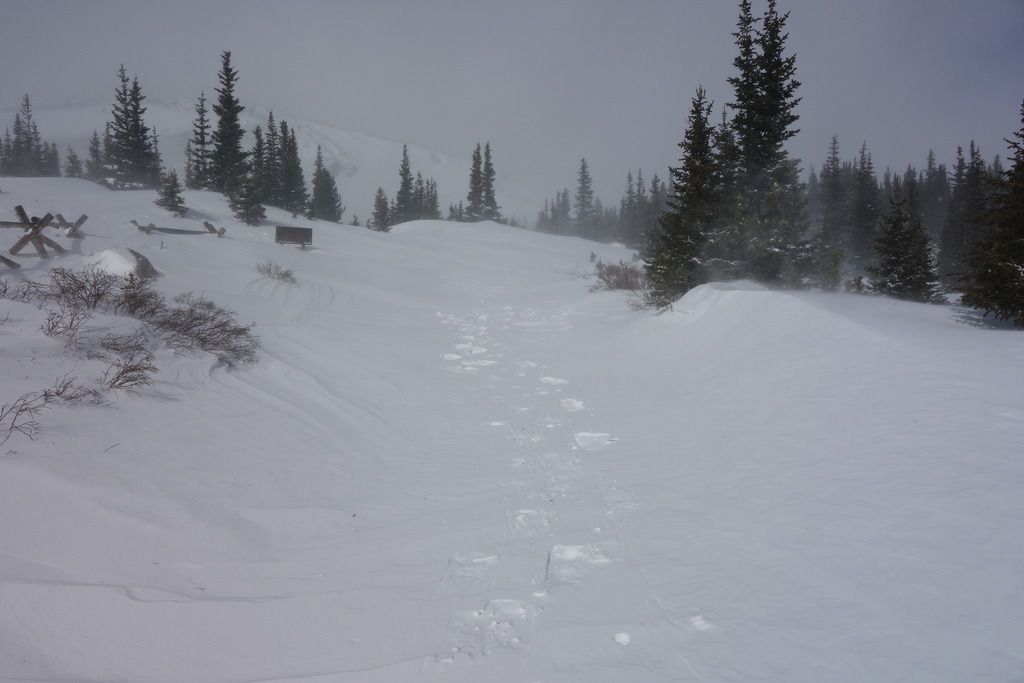DSC02537_zpsylmuz1yp.jpg