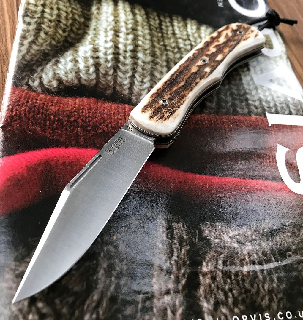 Lionsteel%20Stag%2001.jpg