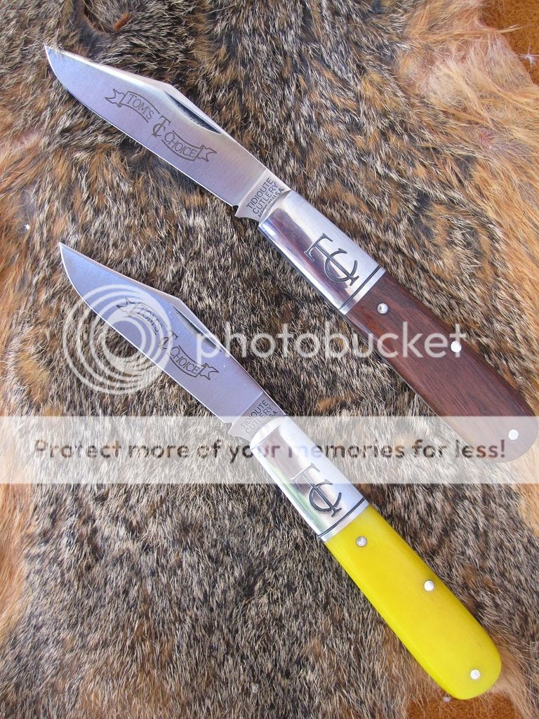 IMG_4218_zpsqvwekerp.jpg~original