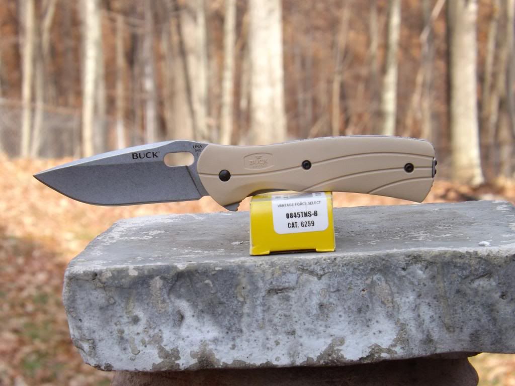 845TNS.jpg