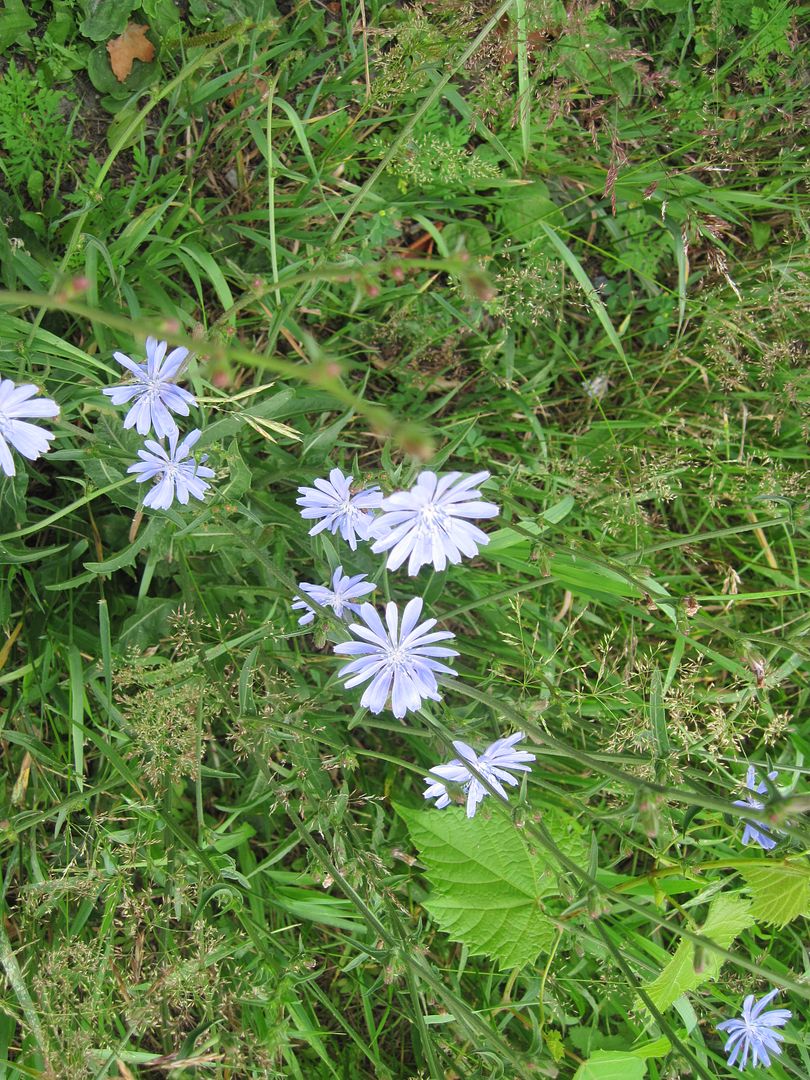 IMG_3425.jpg