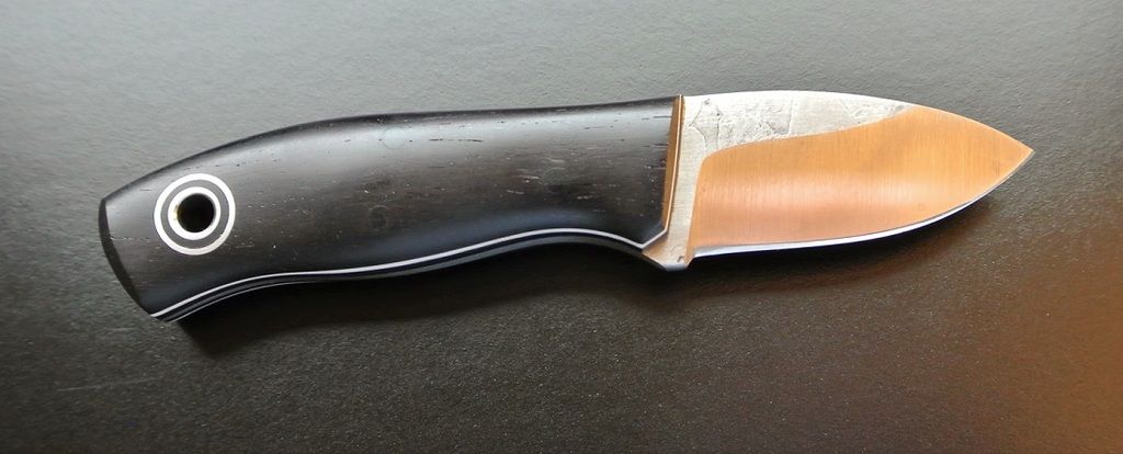 Blackwood%20Runt%201.jpg