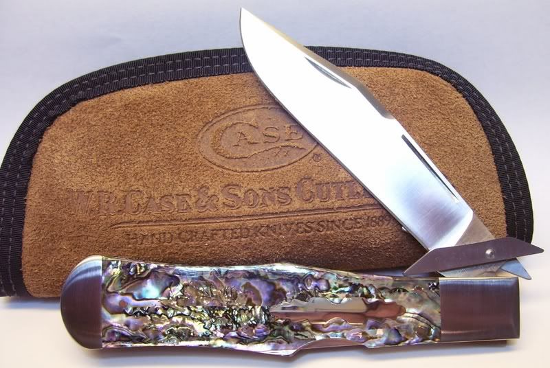 CaseBoseAbaloneSwingGuard.jpg