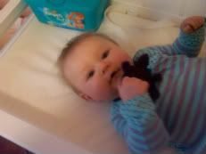 IMG00240-20110304-0800-1.jpg