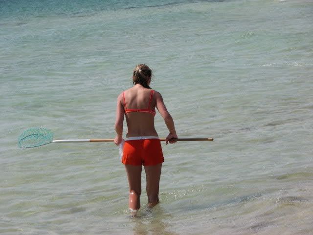 IMG_0129.jpg