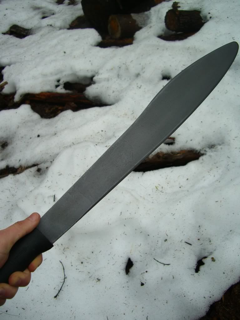 CIMG8559.jpg