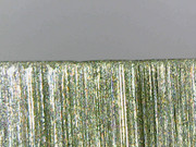 Still0011.jpg