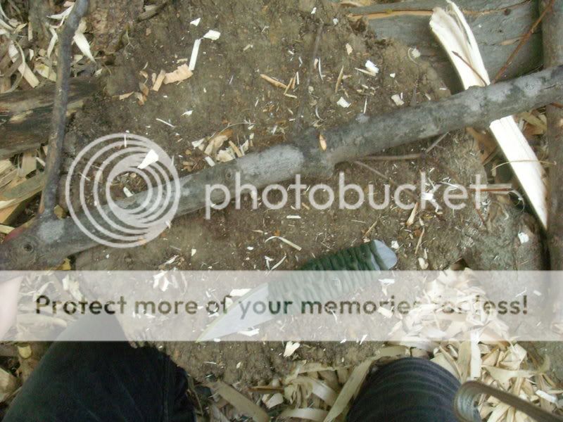 DSCN5750.jpg