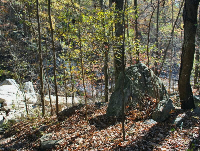 DSC_5023.jpg
