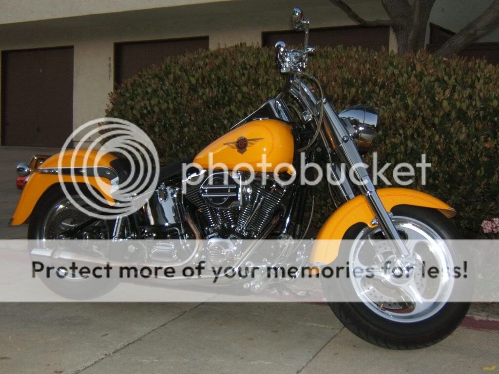 2008_0308Fatboy0006.jpg