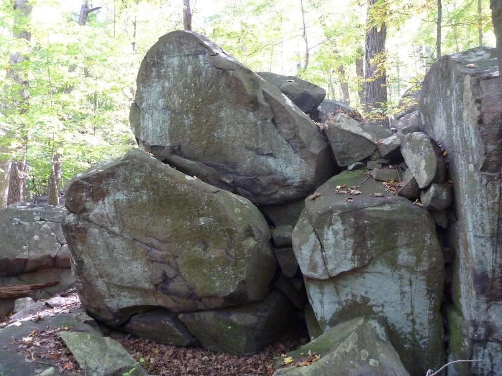 P1010582.jpg