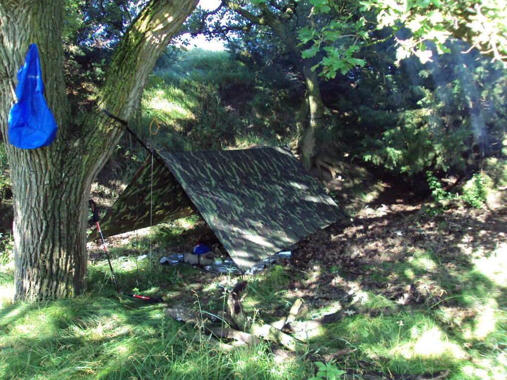 DSC00945.jpg