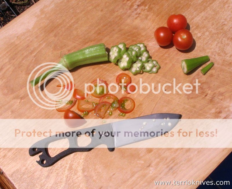 Image1_zps8e8446ac.jpg
